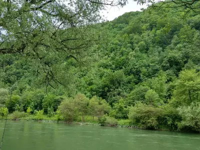a river with a bunch of trees in the background at Camp Vrbas in Rekavice