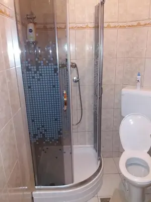 a bathroom with a shower and a toilet at Holiday Home Adna in Bihać