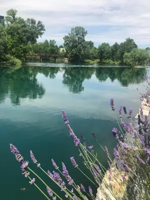 a view of a lake with purple flowers at Konak na Uni in Bihać
