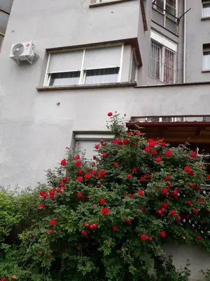 a bush of red flowers in front of a building at Apartments Lela in Bihać