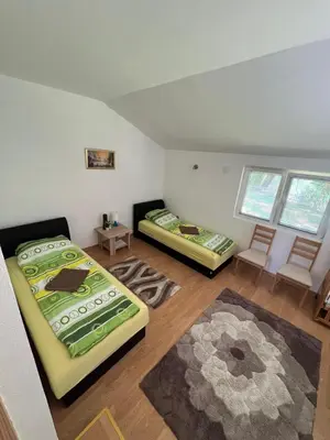 a room with two beds and a rug at Kuca Delić in Račić
