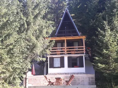 a house with a pointed roof with a porch at Holiday Home Dzejla in Vlasic