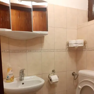 a bathroom with a sink and a toilet at Holiday Home Dzejla in Vlasic
