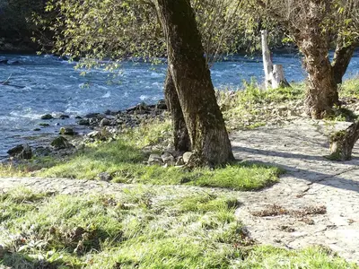 two trees in the grass next to a river at Holiday Homer Vila na Obali Vrbasa in Banja Luka