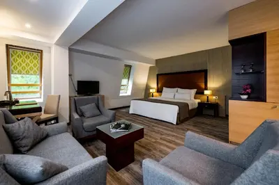 a hotel room with a bed and two chairs at Hotel Blanca Resort & Spa in Vlasic