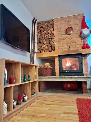 a living room with a fireplace and a tv at Apartments K.I.D.S. in Vlasic