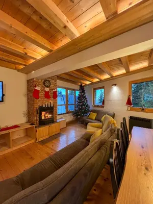 a living room with a couch and a fireplace at Apartments K.I.D.S. in Vlasic