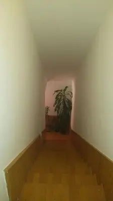 a stairway with a potted plant in a room at Apartman Ela in Bihać
