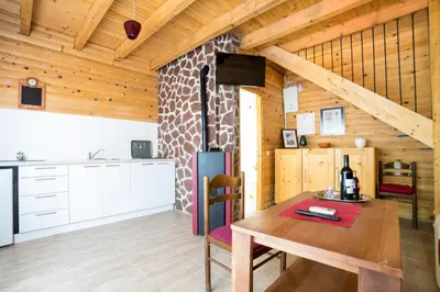 a kitchen and dining room with a wooden ceiling at Holiday homes Piralo in Kostajnica