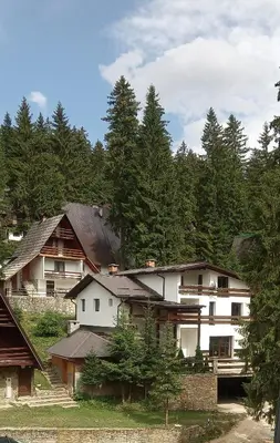 a group of houses with trees in the background at Apartments Žera in Vlasic