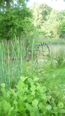 a field of tall grass with an oldwheel in the background at Guest House Mala Prica in Živinice