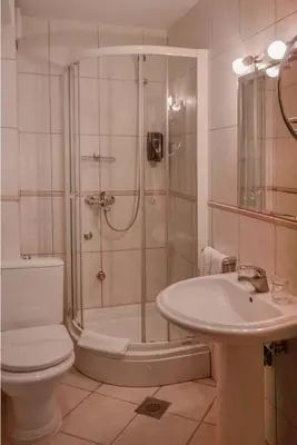 a bathroom with a shower and a toilet and a sink at Hotel Pahuljica in Vlasic