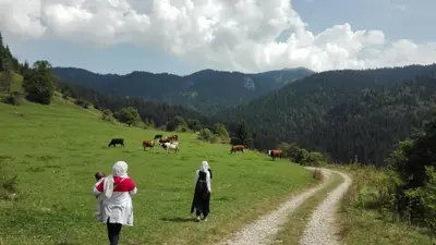two women and a child walking down a field with cows at Apartments BellaMonte Vlašić in Vlasic