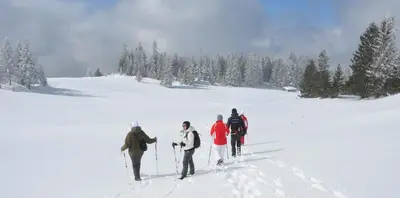 a group of people on skis in the snow at Apartments BellaMonte Vlašić in Vlasic