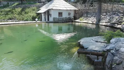 a pond with a small house in the middle of it at Apartments BellaMonte Vlašić in Vlasic