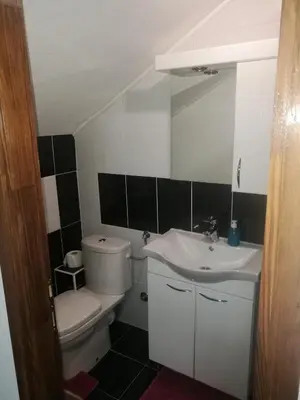 a bathroom with a sink and a toilet and a mirror at Guesthouse Vila Puzic in Banja Luka
