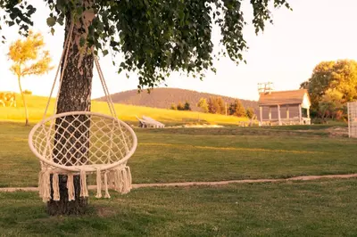 a white swing hanging from a tree in a field at Lake House Bebić in Kupres
