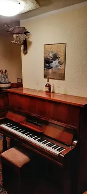 a piano sitting in a room next to a wall at Pansion Renata in Prozor