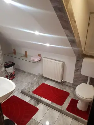 a bathroom with a toilet and a sink and red rugs at Pansion Renata in Prozor