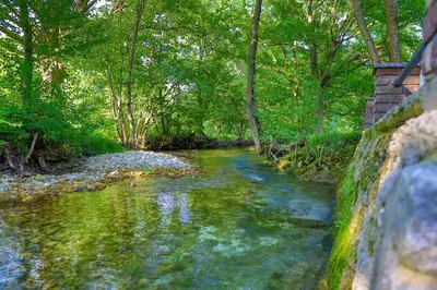 a stream with green water and trees in a forest at Holiday Home Villa Sara in Bihać