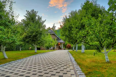 a cobblestone road in front of a house with trees at Holiday Home Villa Sara in Bihać