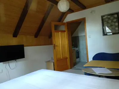 a room with a bed and a table and a television at Smreka Vlašić in Vlasic