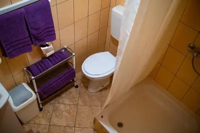 a bathroom with a toilet and a tub and purple towels at Guesthouse Nevenko in Kupres