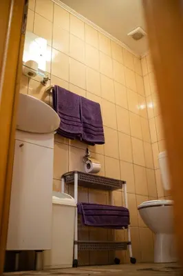 a bathroom with a toilet and purple towels at Guesthouse Nevenko in Kupres
