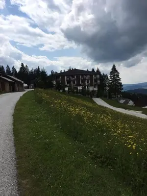 a house on a hill with a field of flowers at MIMI 302 Eko Fis Vlasic in Vlasic