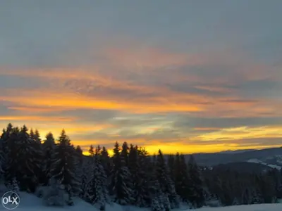a sunset over a forest of trees in the snow at MIMI 302 Eko Fis Vlasic in Vlasic