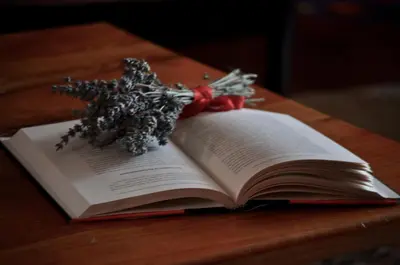 an open book on a wooden table with a christmas star at Kula hacienda in Tuzla