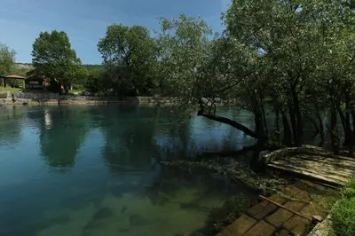 a body of water with trees in the middle at Villa Una Paradise in Bihać