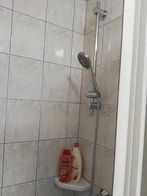 a shower with a blow dryer in a bathroom at Apartmani Janjic in Banja Luka