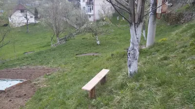 a bench sitting on a grassy hill with a tree at Vikend kuća Careva Ćuprija-apartman in Olovo