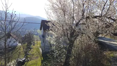 a tree in front of a house on a hill at Vikend kuća Careva Ćuprija-apartman in Olovo