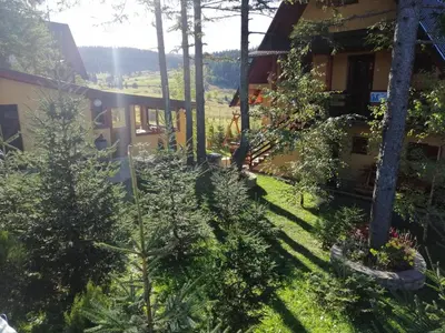 a view of the garden of a house at Apartmani ( VILA ) Vucko in Vlasic