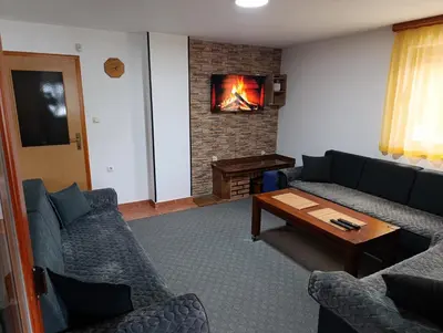 a living room with a couch and a fireplace at Apartmani ( VILA ) Vucko in Vlasic