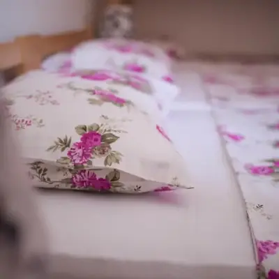 Hostel Larisa
