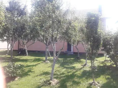 a group of trees in the grass in front of a building at Jelena in Kupres