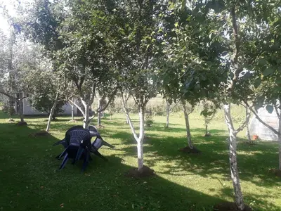 two chairs sitting in the grass next to trees at Jelena in Kupres