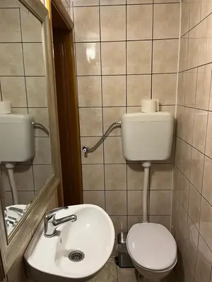 a bathroom with a toilet and a sink and a mirror at Vacation Home Pliva in Šipovo