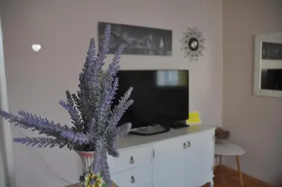 a living room with a tv and a purple plant at Apartman Visoko in Visoko