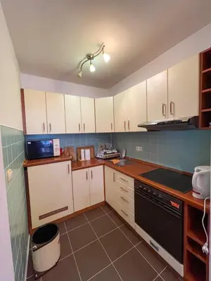a kitchen with white cabinets and a black appliance at Apartment Love in Vlasic
