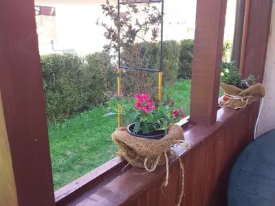a window with flowers in baskets on a balcony at Tammaris Holiday Home in Visoko