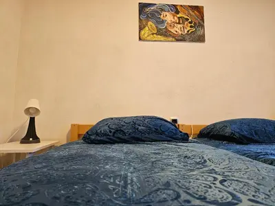 two pillows on a bed with a picture on the wall at Luxury house 