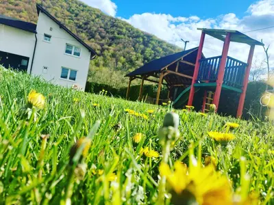 a field of flowers in front of a house at Luxury house 
