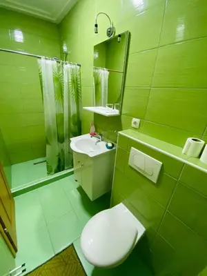 a green bathroom with a toilet and a sink at Unaqua Apartments in Kulen Vakuf