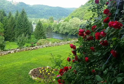a view of a river from a garden with roses at Unaqua Apartments in Kulen Vakuf