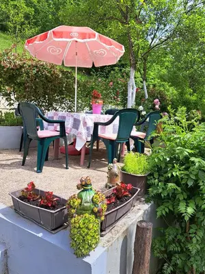 a table and chairs and an umbrella in a garden at Seosko domacinstvo Halil & Alema in Ćukovi