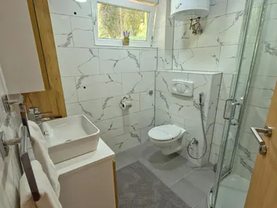 a bathroom with a toilet and a sink and a shower at Private Riverside House on the Una River with Private Beach in Kulen Vakuf